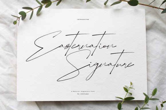 Easternation Signature: A Refined Script Font for Editorial Use