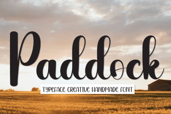 Paddock Font Review: A Handwritten Typeface with Genuine Charm