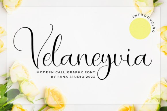 Velaneyvia: A Script Font That Brings Warmth to Products and Web Design